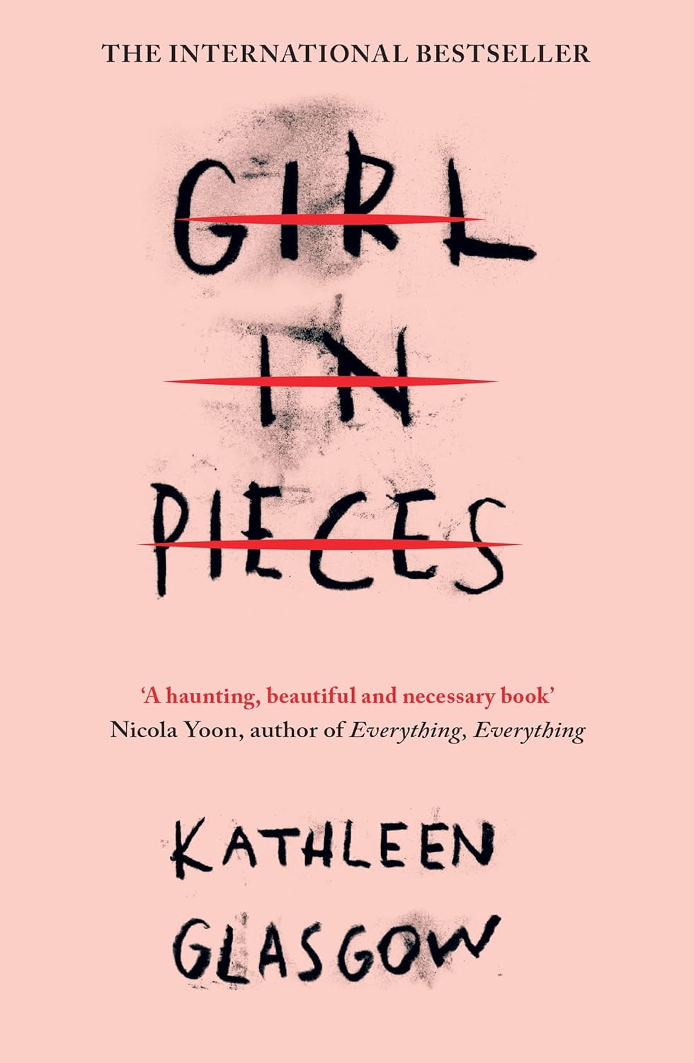 Girl in Pieces  Young Adult Novel