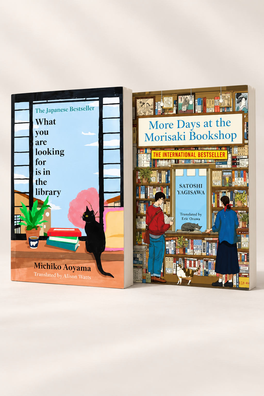What You Are Looking for Is in the Library + More Days at the Morisaki Bookshop | 2 Books Combo